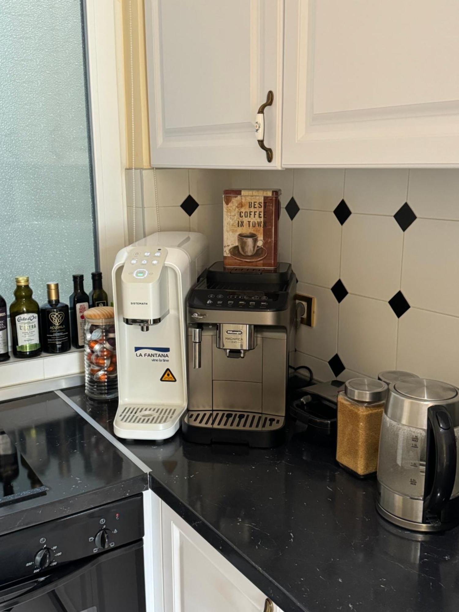 Apartament Charming & Lovely Downtown Timişoara