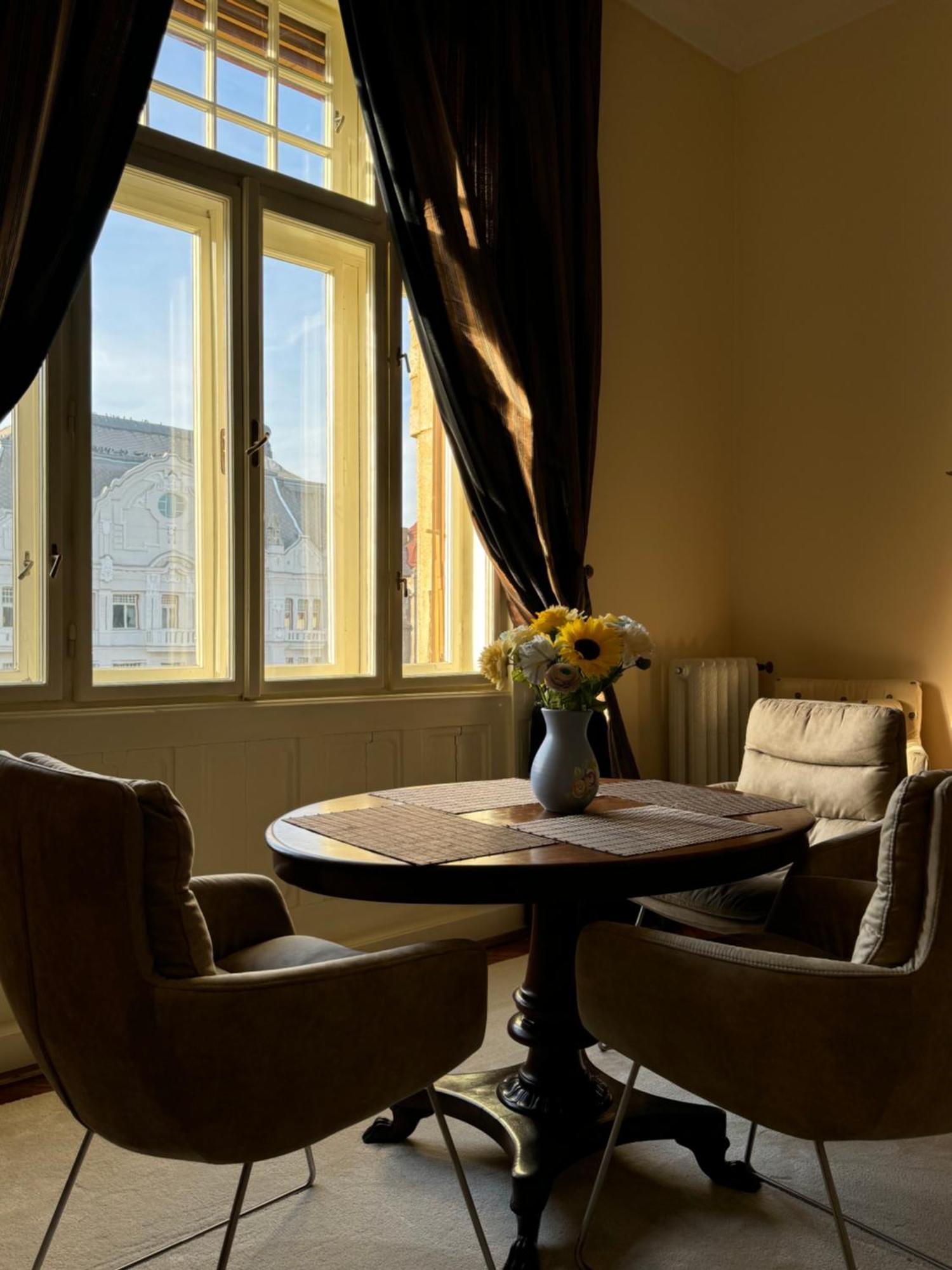 Charming & Lovely Downtown Apartment Timisoara